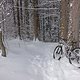 DSC06776-ck
