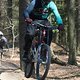 DSC00336