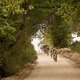 Riders during stage 6 of the 2018 Absa Cape Epic Mountain Bike stage race held from Huguenot High in Wellington, South Africa on the 24th March 2018

Photo by Sam Clark/Cape Epic/SPORTZPICS

PLEASE ENSURE THE APPROPRIATE CREDIT IS GIVEN TO THE PH