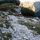IMG 0588