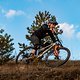 Geometrie, Rohrsatz und Kinematik des Hinterbaus sollen auf den Trail-Einsatz optimiert sein.