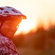 Sunset71 (MTB-News)