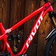 Pivot-Matt-Walker-6644