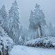 Frozen Rennsteig 1