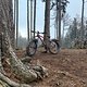 IMG 1305