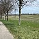 IMG 5479