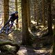 Schwalbe Clik Valve Specialized Stumpjumper 2025 PSturm-28