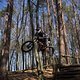 Bike Beerfelden P 299