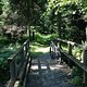 IMG 0724