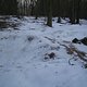 IMG1737