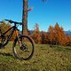 Canyon Strive CF 8.0 SL Custom