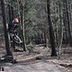 DSC 0029