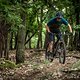Bergauf sollen Down Country-Bikes effizient und zügig wie ein leichtgewichtiges Cross Country-Bike klettern …