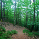 Hesselbach Trail