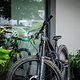Newmen Hausbesuch 2024-195