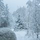 Frozen Rennsteig 3