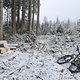 Winterpokal-Aktivität