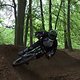 IMG 9920