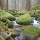 DSCN1253