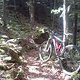 Vogesen- Trail (ca.6km am STÜCK!)