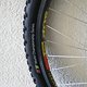 IMG 5669