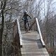 IMG 7254