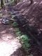 IMG00107-20110803-0431