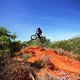 Broome1