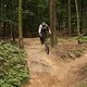IMG 0126