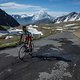 Gavia kl