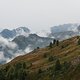 Trotz schlechtem Wetter ist die Natur wieder ein Hingucker