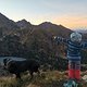 IMG 20241021 181318