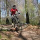 IMG 0597