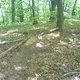 DSC01817