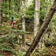 Der Weg vom Cerchov zieht sich über alte Steinbrücken und -treppen langsam gen Tal