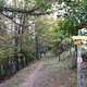 TransVerdon2016 (21)