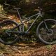 Specialized Epic