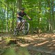 IMG 4063