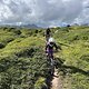 IMG 3977