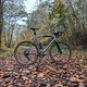 Lunch Ride