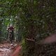 Dazu zählen auch Rennen der UCI DH Continental Serie wie Cairns ...