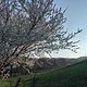 IMG 1252