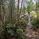 BC Squamish - Hueso