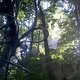 2012-07-27 17-38-19 328