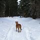 IMG 2795