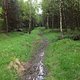 IMG 0352