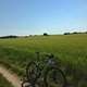 IMG 0719