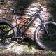 Canyon Dude Carbon Fatbike