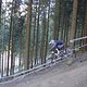 IMG 0005