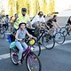 Critical Mass 1706 5044a